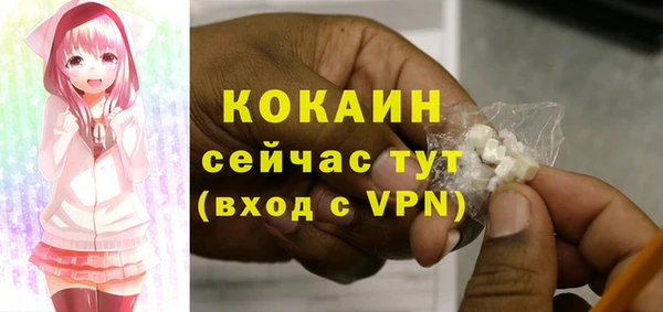 шишки Алексин