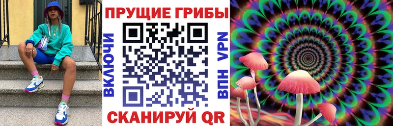 где купить наркоту  маркетплейс наркотические препараты  Псилоцибиновые грибы MAGIC MUSHROOMS  Апрелевка 