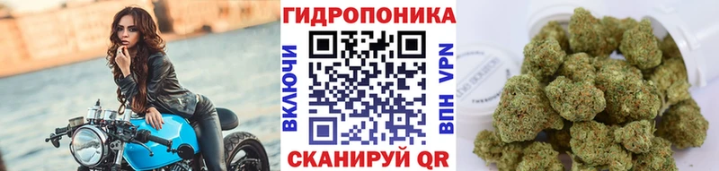 гидра маркетплейс  Апрелевка  Бошки марихуана конопля 